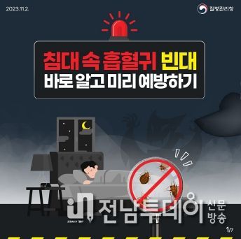 여수시는 최근 국내 빈대 출현에 따라 오는 12월 8일까지 4주간 ‘빈대 집중 점검 및 방제 기간’을 운영하고 적극적인 대응에 나선다.