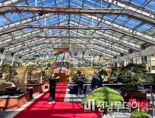 신안군에서 펼쳐진 분재의 장, ‘제8회 대한민국 분재대전’ 성공적으로 완료