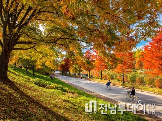 담양군 풍성한 관광 콘텐츠 개발 … 민선 8기 내륙 관광 일번지 도약 ‘박차’
