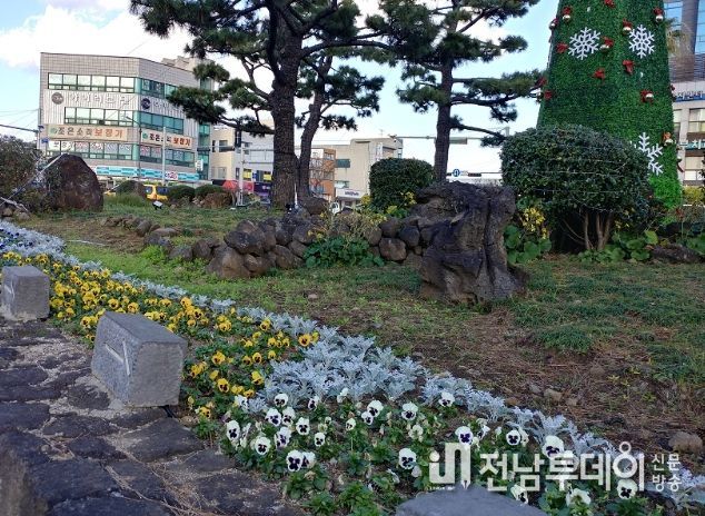 도심지 주요도로변 겨울꽃 식재로 가로환경 조성