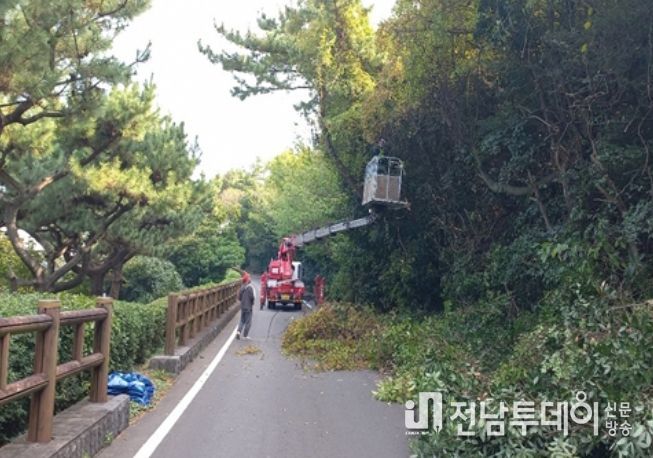 삼매봉공원 수목전정