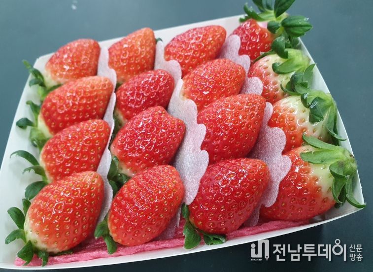 금실딸기수출