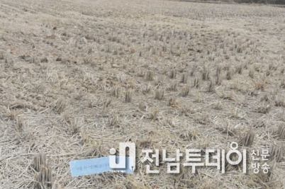 화순군, 논 토양 살리기 적극 나서