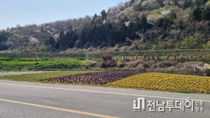 진도군, 올해 도로정비 종합평가 '최우수' 기관 선정