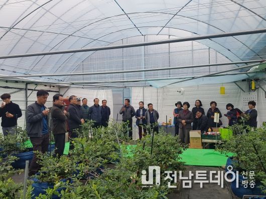 곡성명품농업대학 블루베리반 졸업식 성료