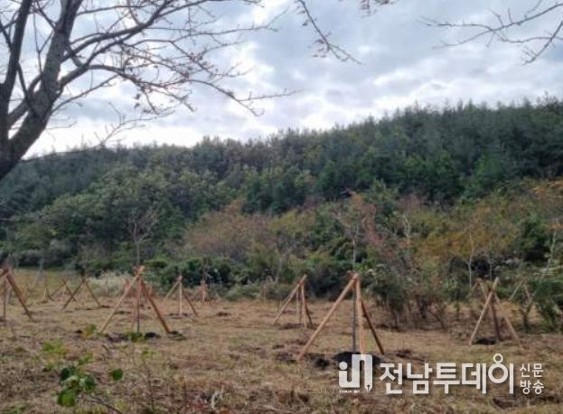 2023년 하반기 조림사업