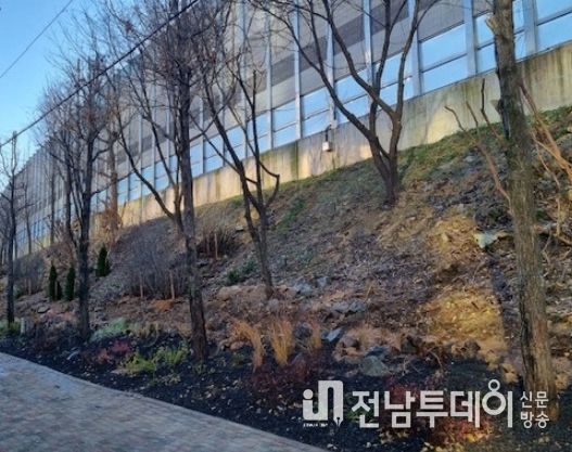 용산지구에 도심 속 힐링 명품 가로숲길 탄생
