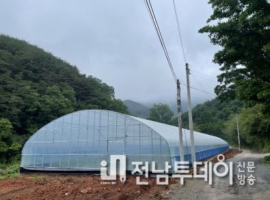 비닐하우스 사진