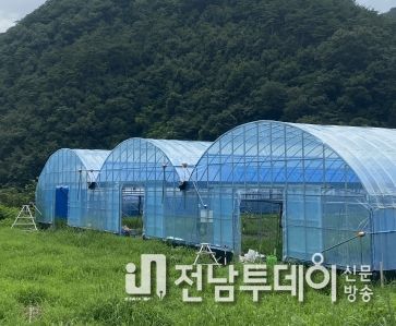 보조사업으로 신축한 비닐하우스
