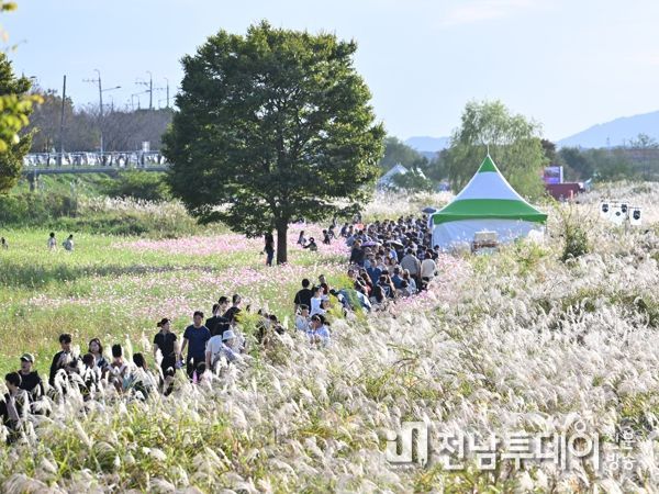 광주광역시 서창억새축제 대한민국축제콘텐츠 2년 연속 대상