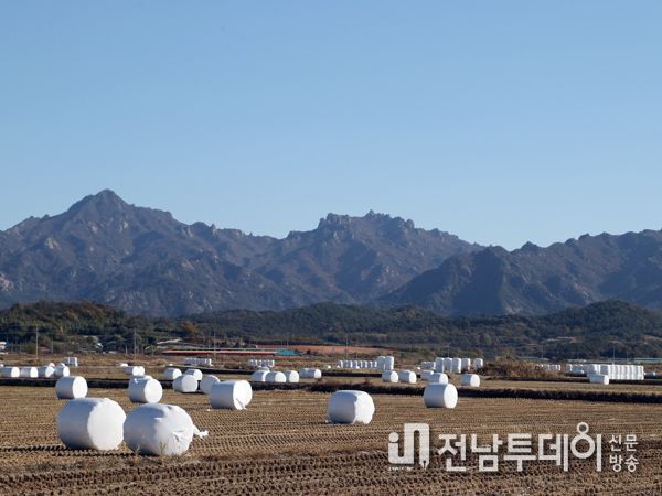 영암군, 새해 ‘친환경 경축 순환농업’ 활성화 나서기로
