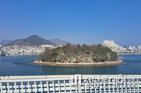여수시가 겨울 철새 민물가마우지의 배설물로 장군도 섬 숲 백화현상에 따른 피해대응에 나섰다.