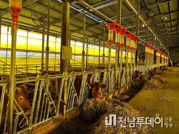 영암군, 다음달 2일까지 ‘축산분야 지원사업’ 각 읍·면에서 접수