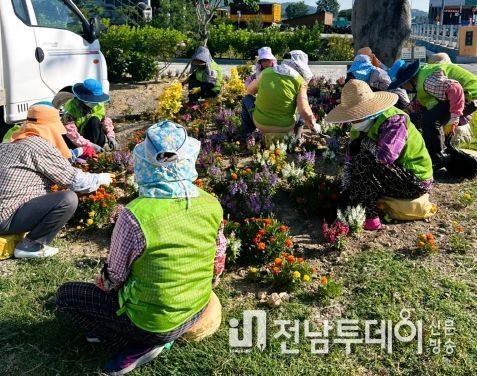 장성군, 새해 노인일자리사업 확대 시행