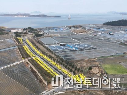 인동귤의 섬 하의도 방한 작업 전경