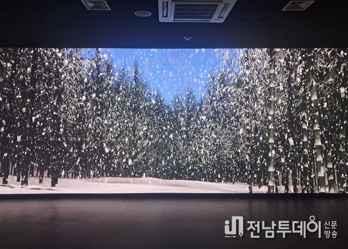 담양군 한국대나무박물관, 대나무 실감 콘텐츠 기획전시 열어