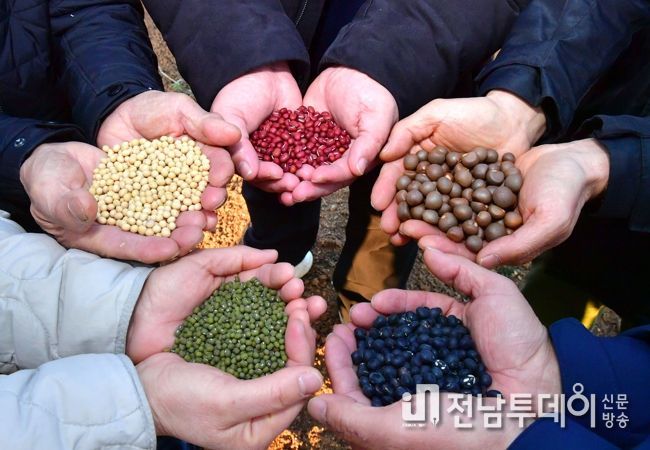 ‘미식 관광도시’ 장성군, 토종 농산물 확대 팔 걷었다