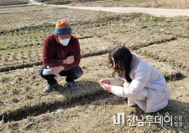장성군, 맥류‧양파 재배농가 현장 기술지원 추진