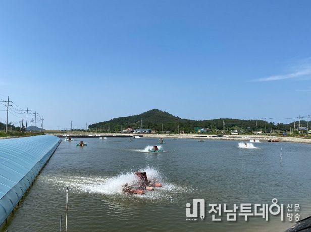 신안군! 친환경 왕새우 배합사료 공장건립 사업비 60억 확보