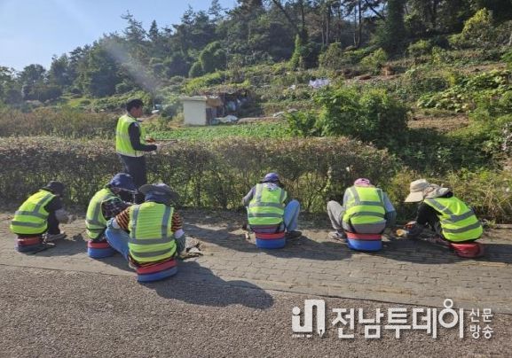 2023년 장미의 거리(화순전대벼원) 작업현장