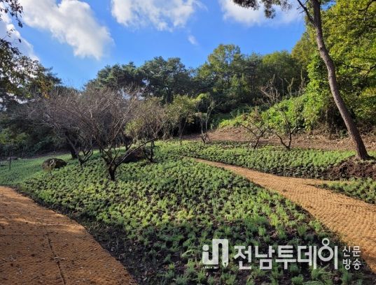화순군, ‘이십곡리 너릿재 옛길 경관 개선 사업’ 완료