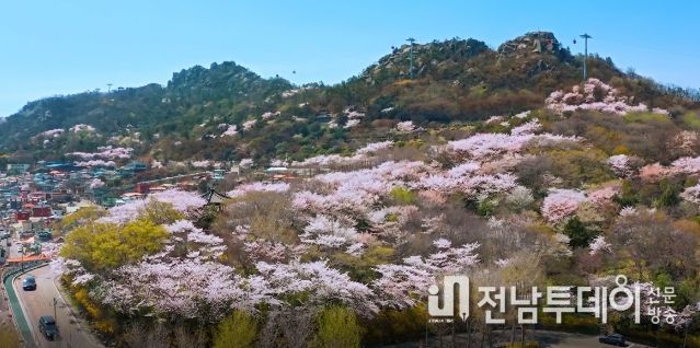유달산 봄축제