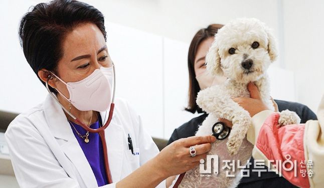 공공진료소
