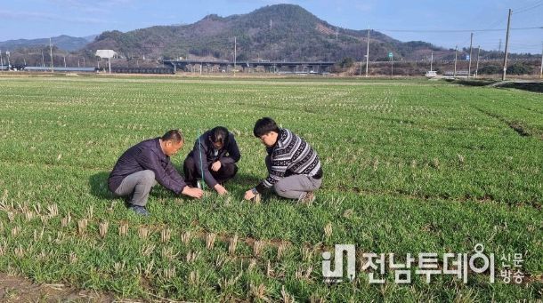 “배수로 정비로 ‘맥류 습해피해’ 예방하세요”