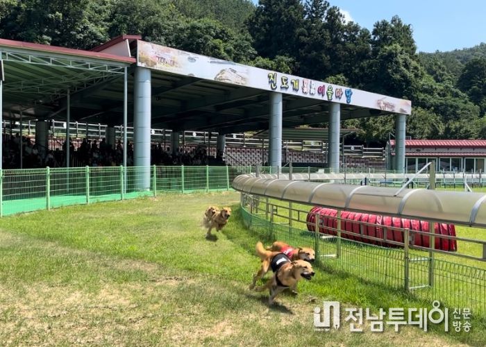 진도군, 진도개 도그(Dog) 스포츠 운영