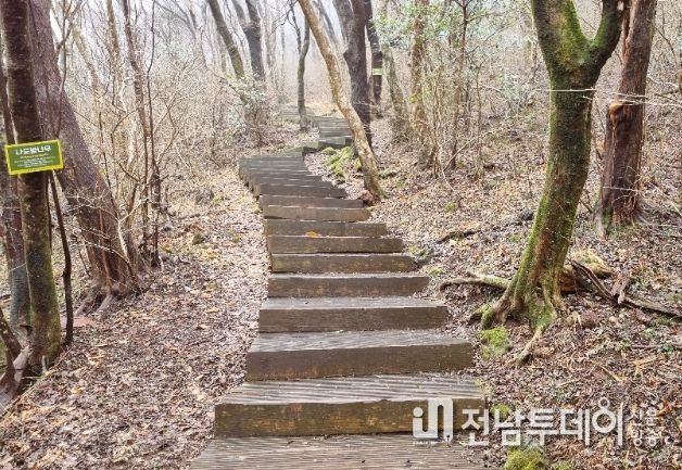 서귀포시, 붉은오름 자연휴양림 안전사고 대비 시설물 보완 추진