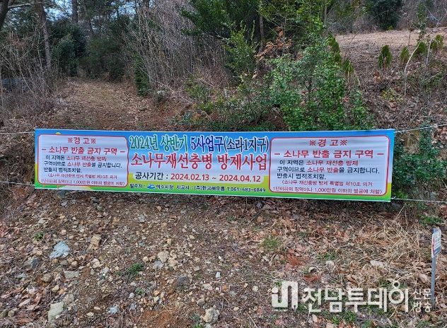여수시, 소나무재선충병 전략방제 ‘총력’