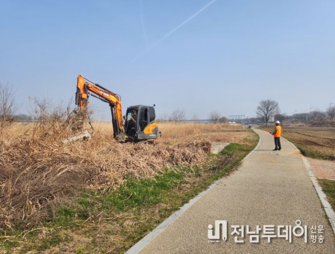 서구, 광주서창억새축제 준비 첫걸음‘첫 억새베기’