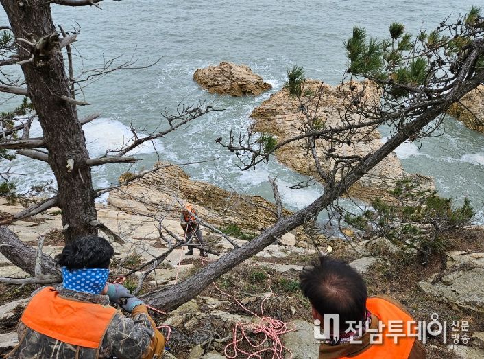 영광군 유해야생동물 기동구제단, 송이도 야생멧돼지 집중포획