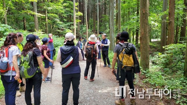 ‘편백숲의 고장’ 장성군, 숲 해설 운영