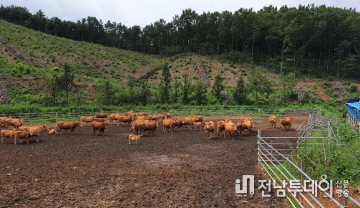 녹색축산육성기금 융자사업- 축사