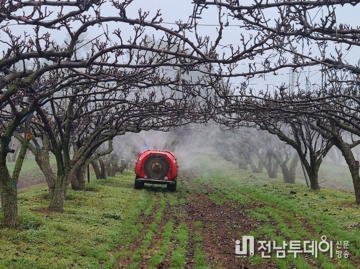 2023년 화상병 약제 방제