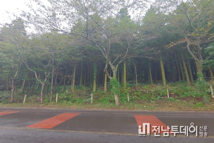 2023년 부대오름 숲가꾸기 작업 후
