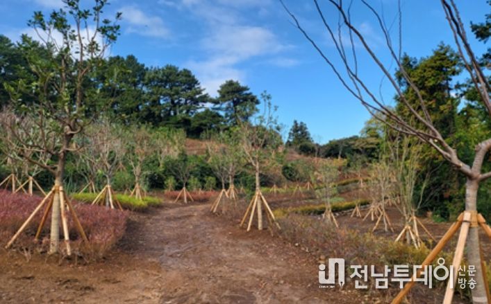 기후위기 대응을 위한 도시바람길숲 조성사업