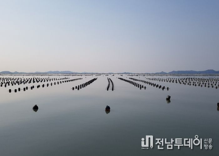 김 양식