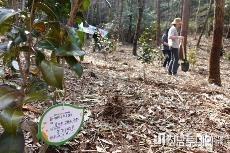 땅끝해남에 봄 활짝, 달마고도 힐링축제 대박