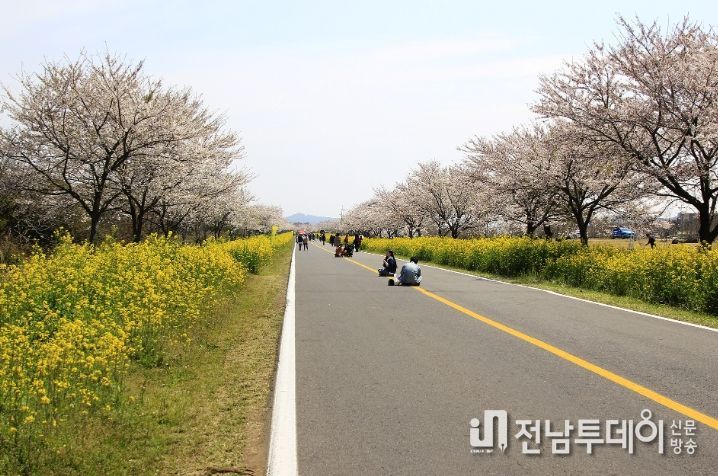 녹산로(2019년 차 없는 거리)