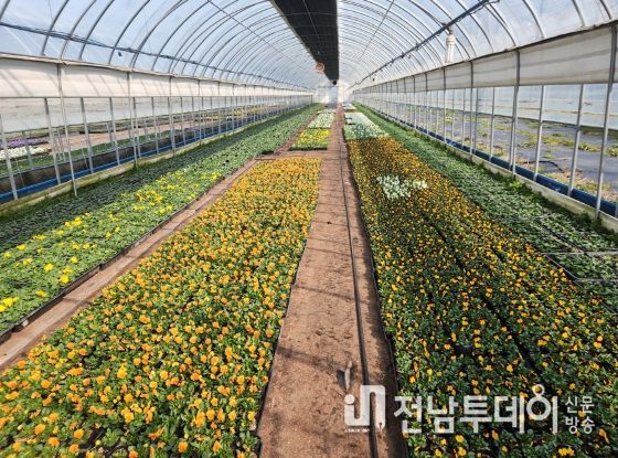 육모장에 식재된 봄꽃들