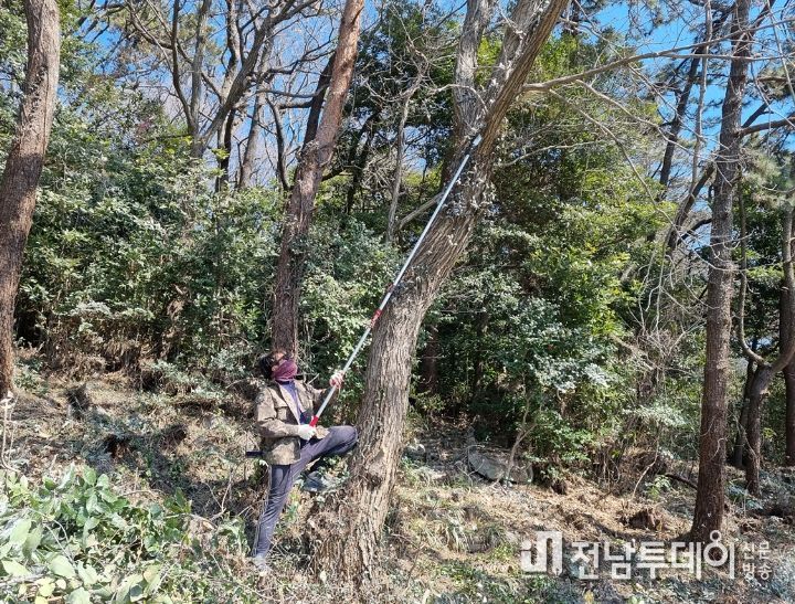 여수시, 겨울철새 민물가마우지 서직지 제거