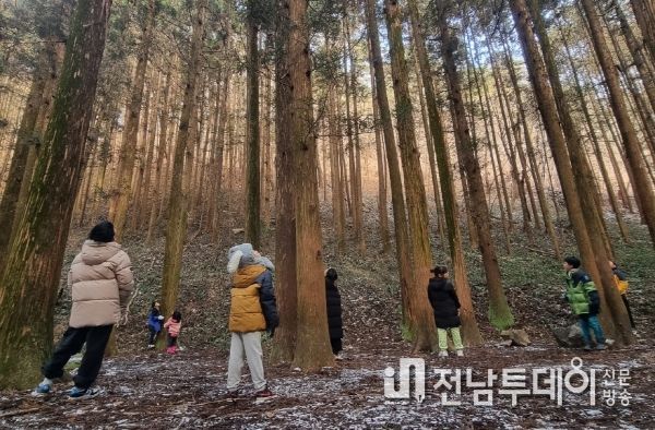 광주광역시 동구 자연에서 배우는 오감 교육, ‘무등산 숲 학교’ 성료