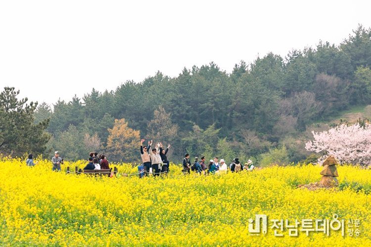 완도군 치유가 필요해, 청산도를 걸어봐’ 슬로걷기 축제 팡파르