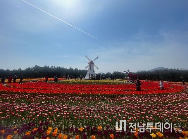 신안군 ‘2024 섬 튤립 축제’ 개막식