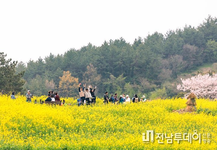 완도군, 청산도 슬로걷기 축제 성료, 청산완보·기(氣) 치유 인기