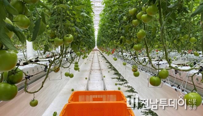 스마트팜혁신밸리 온실