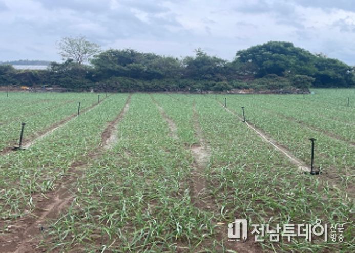 2024년 농지이용실태조사