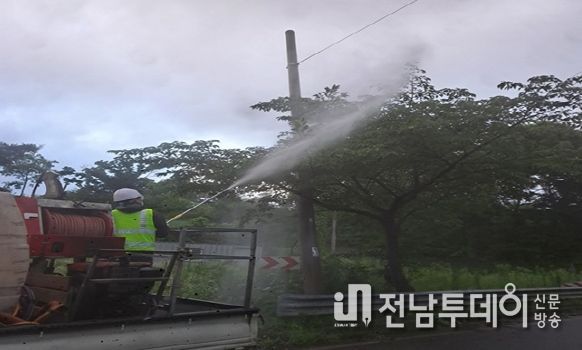 곡성군, 기후 변화에 맞서 ‘가로수 병해충 관리’ 강화